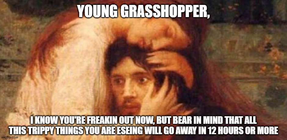 #lilHigh #funnymemes #darkmemes #trippy #lsd #12hours #younggrasshopper