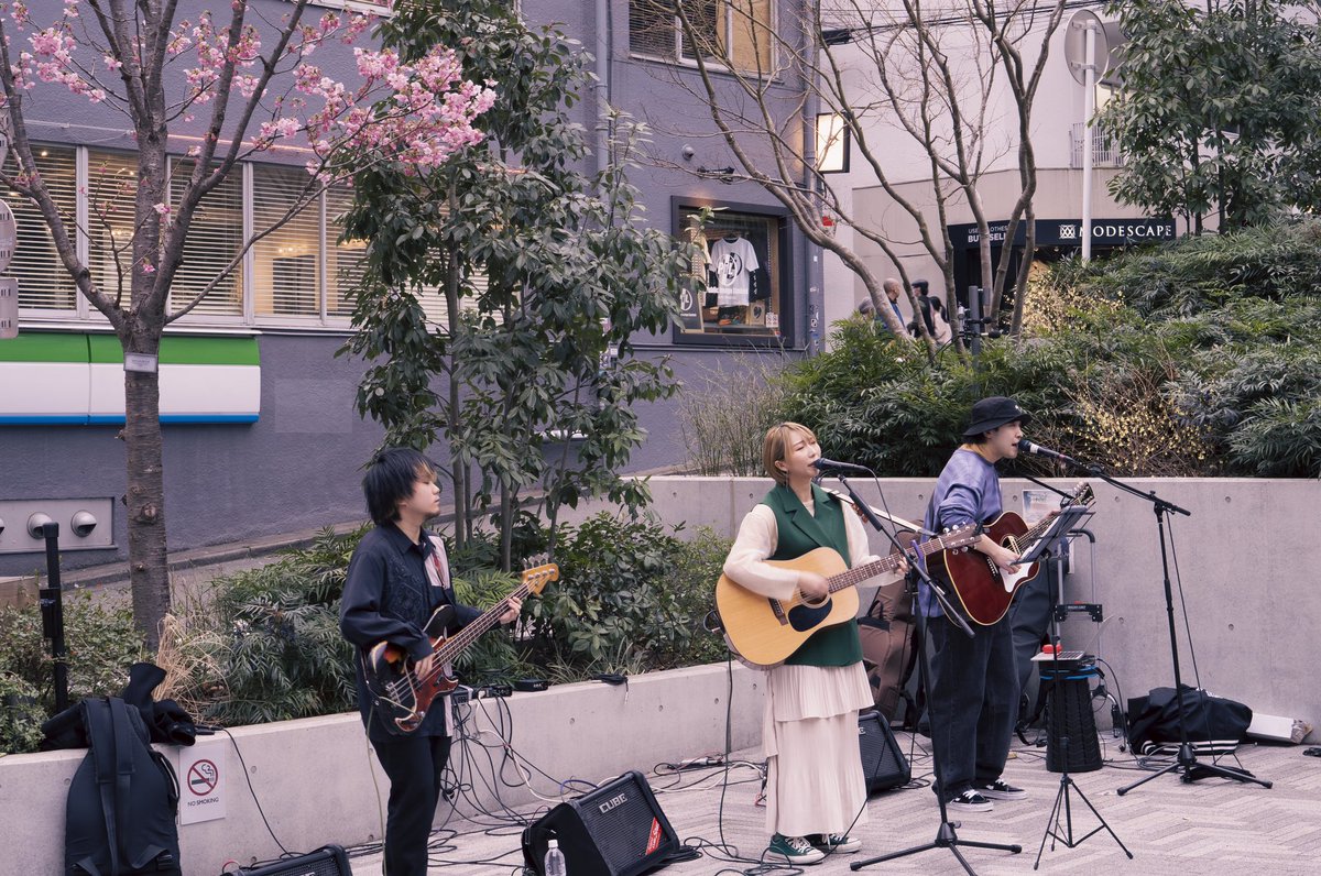 Nextstyle38's tweet photo. ずっと好きで聞かせて頂いていましたが、初めて生で見させて頂きました、本当に素敵なアーチストさん、今度絶対Liveに行かせて頂きます！#あたらよ #憂い桜　🌸 https://t.co/d0HJtkttHF