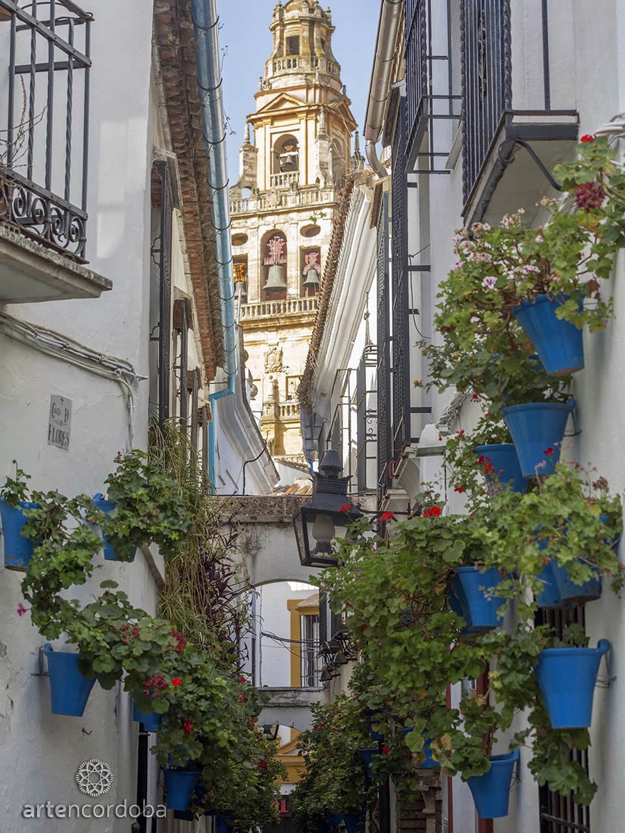 HotelSerrano_C's tweet photo. Una ciudad que te va a enamorar😍🥰

#VisitaCórdoba #Córdoba #CallejadelasFlores #Judería #CórdobaMágica #Córdobaúnica #Cultura #Turismo https://t.co/frXiKiPpDR