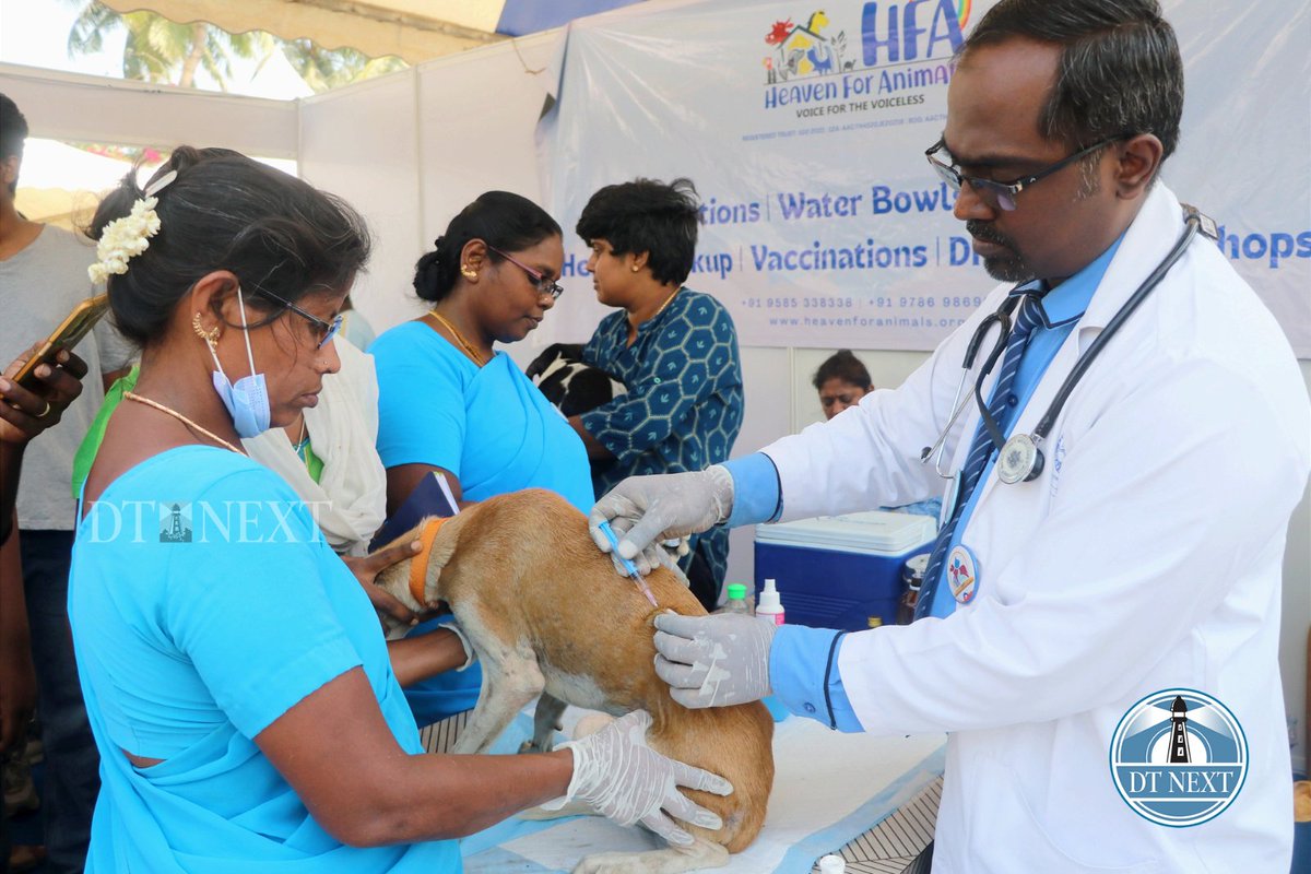 dt_next's tweet photo. Heaven for Animals conducted a mega vaccination and adoption camp for stray dogs at Maduravoyal.
📸 @_Hemanathan_
#straydogs #heavenforanimals #maduravoyal #megavaccinationdrive #vaccinationfordogs https://t.co/3Dhp0OSTBY