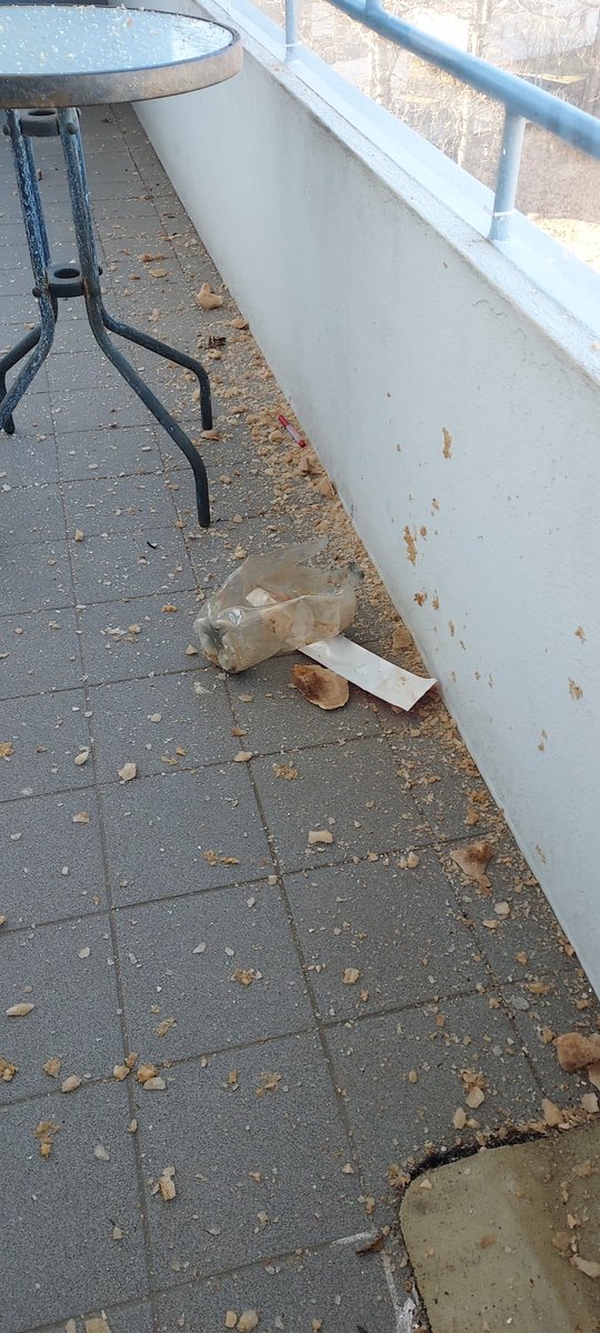 Þvílík sprengin út á svölum. Kókflaskan sprakk í tætlur út af kulda !!