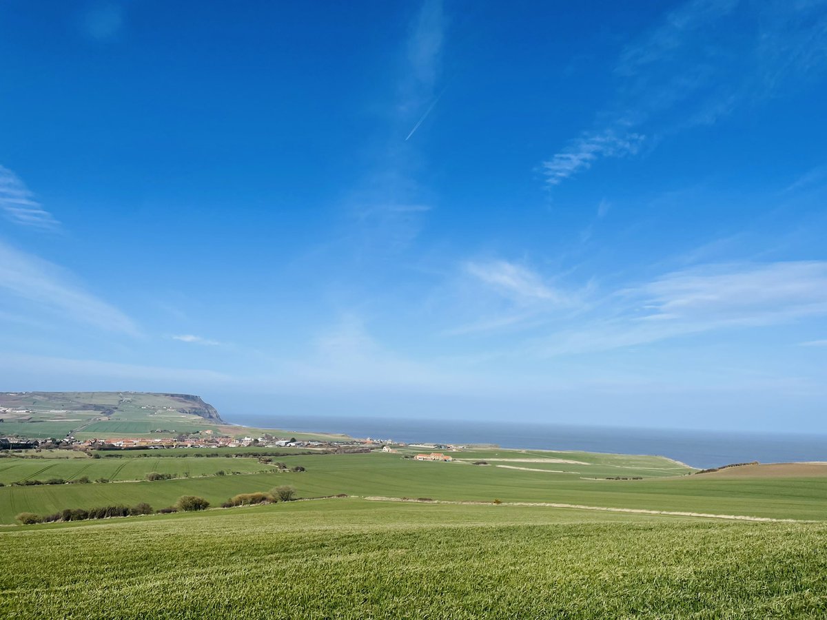 Hello Sunday 💛🐾🥾 #walking #outdoors #blueskies #march #northyorks #northyorkshire #boulbycliffs #yorkshirecoast #coastalwalks