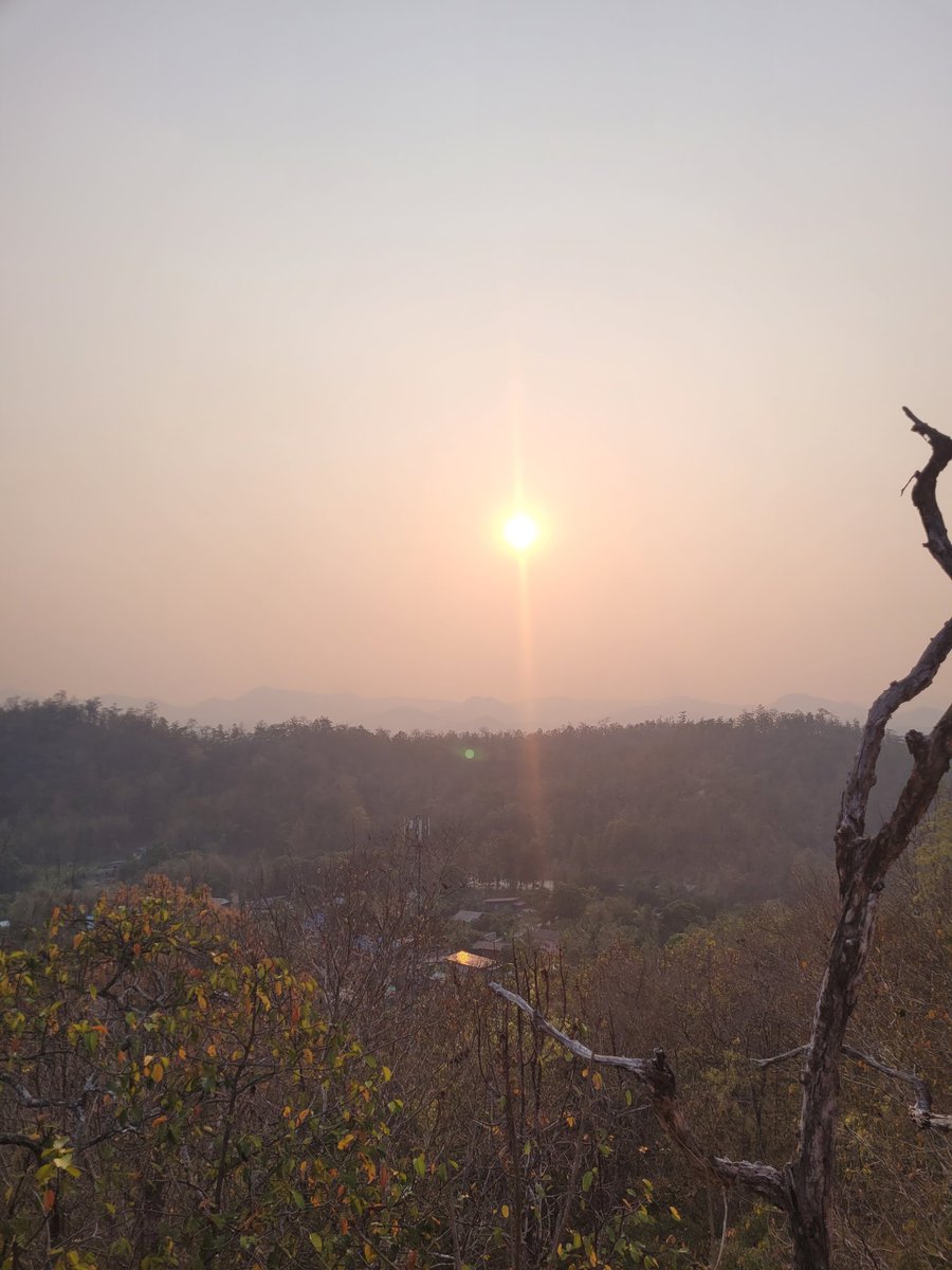 postgradart tweet media