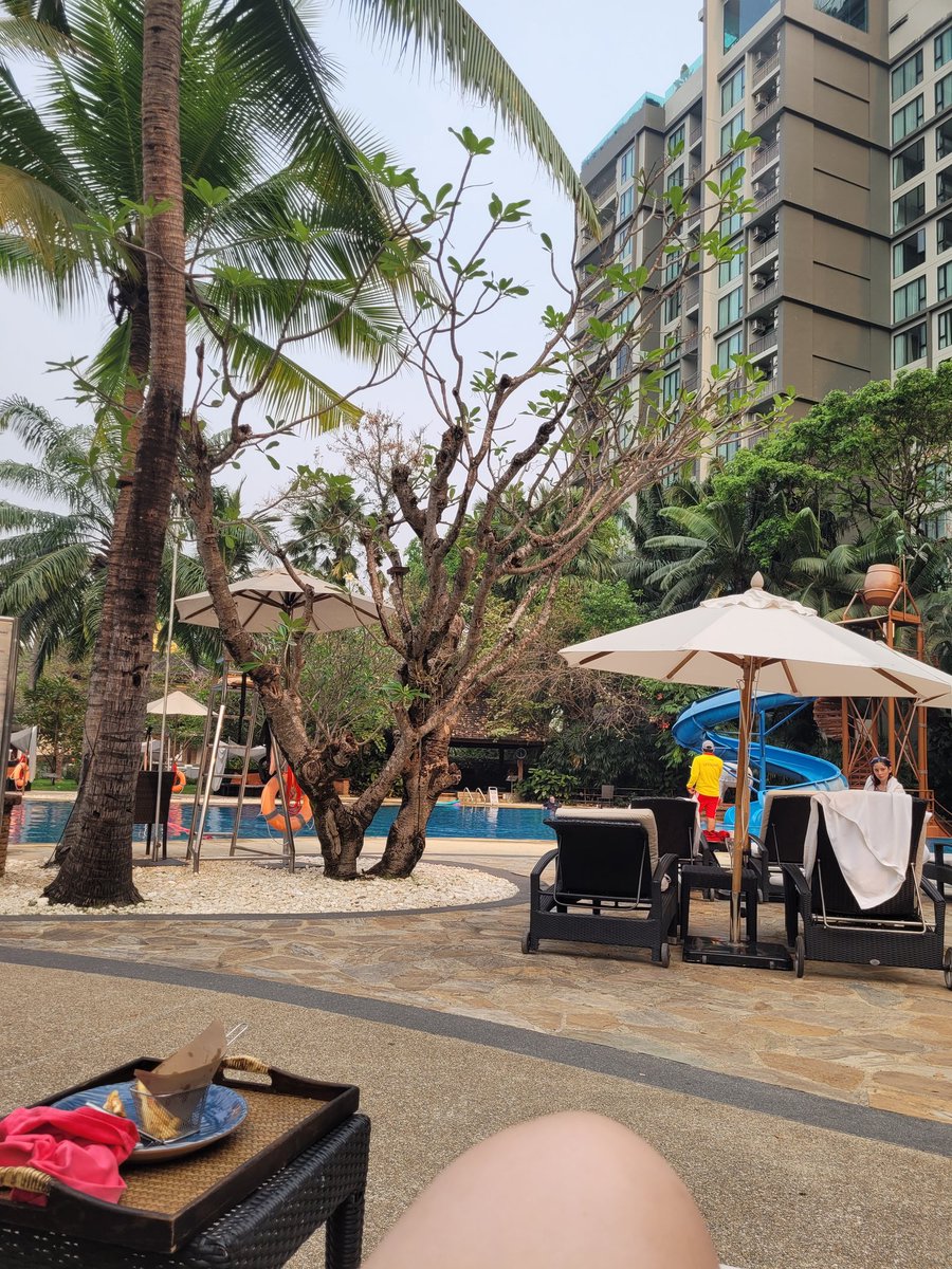 postgradart tweet media