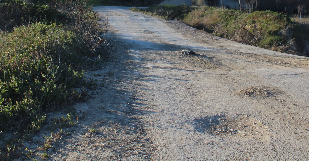 🛤𝗔𝗰𝘂𝗲𝗿𝗱𝗼 𝗲𝗻𝘁𝗿𝗲 𝗔𝗹𝗰𝗮𝗹𝗱𝗶́𝗮𝘀 𝗱𝗲 𝗰𝗮𝗿𝗮 𝗮 𝘀𝗼𝗹𝗶𝗰𝗶𝘁𝗮𝗿 𝗮𝘆𝘂𝗱𝗮 𝗮 𝗗𝗶𝗽𝘂𝘁𝗮𝗰𝗶𝗼́𝗻 𝗽𝗮𝗿𝗮 𝗮𝗳𝗿𝗼𝗻𝘁𝗮𝗿 𝗮𝗿𝗿𝗲𝗴𝗹𝗼 𝗱𝗲𝗹 𝗖𝗮𝗺𝗶𝗻𝗼 𝗱𝗲 𝗔𝗴𝘂𝗶𝗹𝗮𝗿 (𝗖𝗮𝗺𝗶𝗻𝗼 𝗱𝗲 𝗹𝗼𝘀 𝗠𝗼𝗹𝗶𝗻𝗼𝘀)

instagram.com/p/CpsAocwtAkY/ 

#montalbán