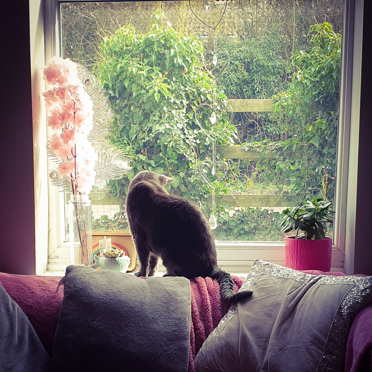 RoxayMidnight's tweet photo. #NeilGaiman said that you should give yourself permission to do one of two things—nothing or write. This is my view as I settle in to hopefully do the latter. Having the permission to do nothing helps a lot though

#writingcommunity #writerslife #writingadvice https://t.co/C31xiiq7oX