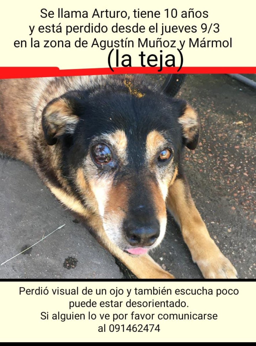 Lizeth654's tweet photo. Viejito perdido https://t.co/6oGoMJBbFq