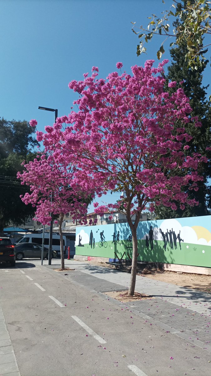 פיד טבבויה 'איפה' חוזר להיות רלוונטי.