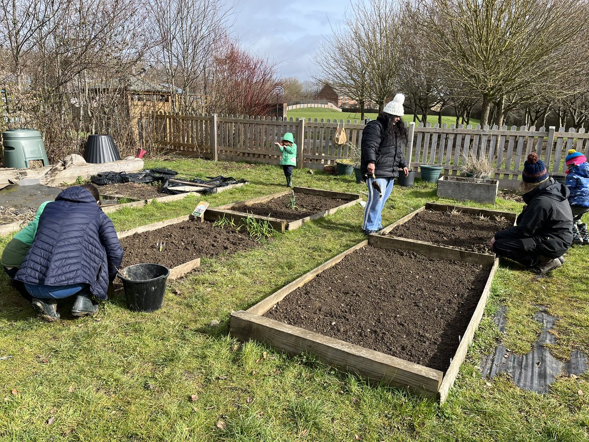 MeadOutside's tweet photo. #familygardeningclub had beautiful weather for session today.  Lots planted including potatoes, tomatoes, onions, B-road beans, peas and sunflowers. @RHSSchools @MeadatHilperton @MeadHead1 https://t.co/XhrAfWIaOr