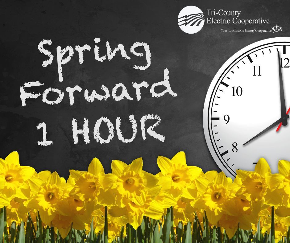 The second Sunday in March triggers daylight savings time, when we set our clocks one hour ahead. It is also the best day to change the batteries in smoke detectors and carbon monoxide detectors - even if batteries are not dead.