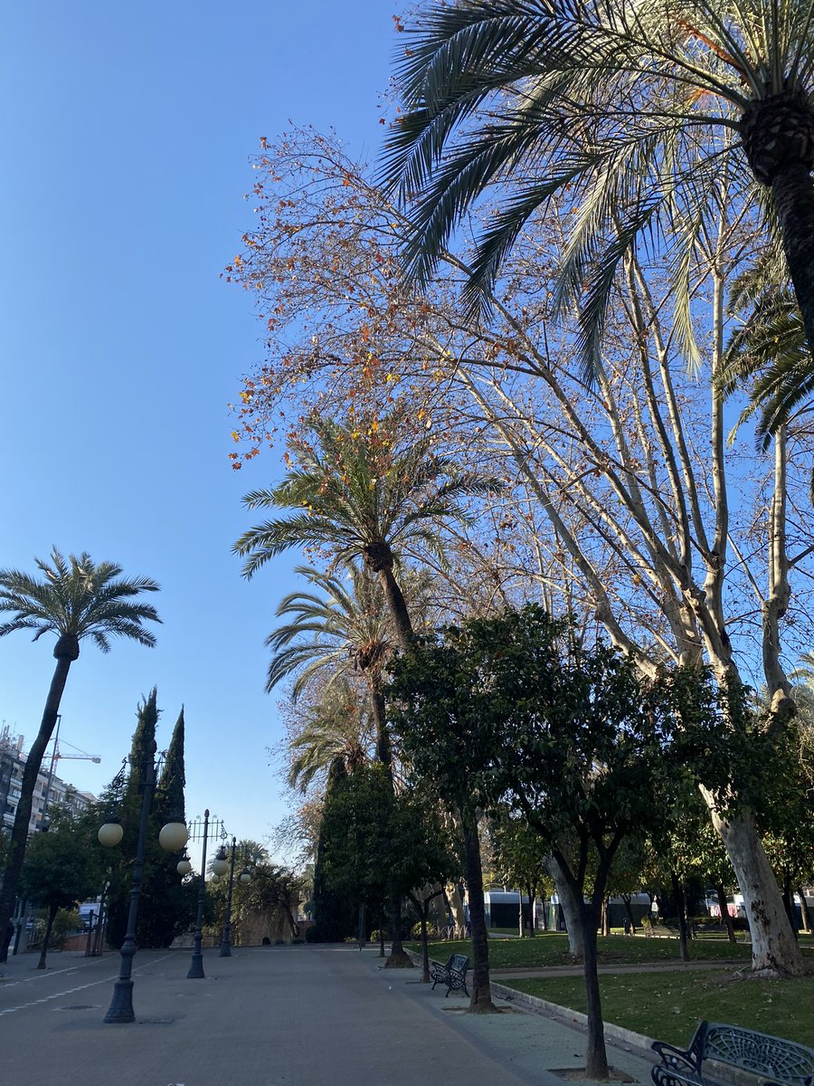 Jack_D0223's tweet photo. スペイン🇪🇸旅行5日目　コルドバ https://t.co/0xsY3NchW2