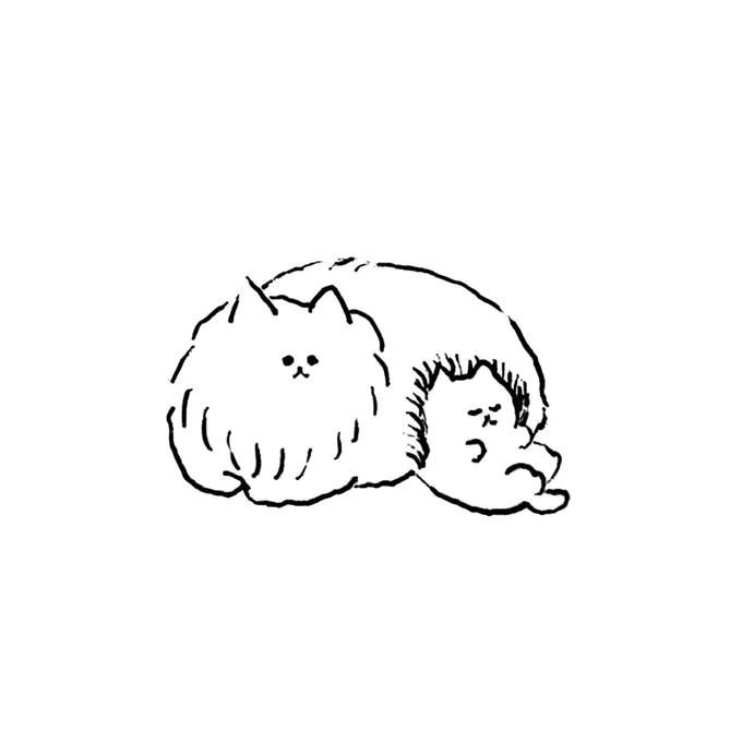 ねこ 