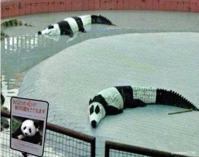 browniememer's tweet photo. Girls during periods.😂
#periods https://t.co/uW9EeChA0H