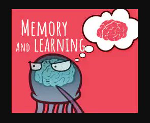 Olmeca - Brain tweet media