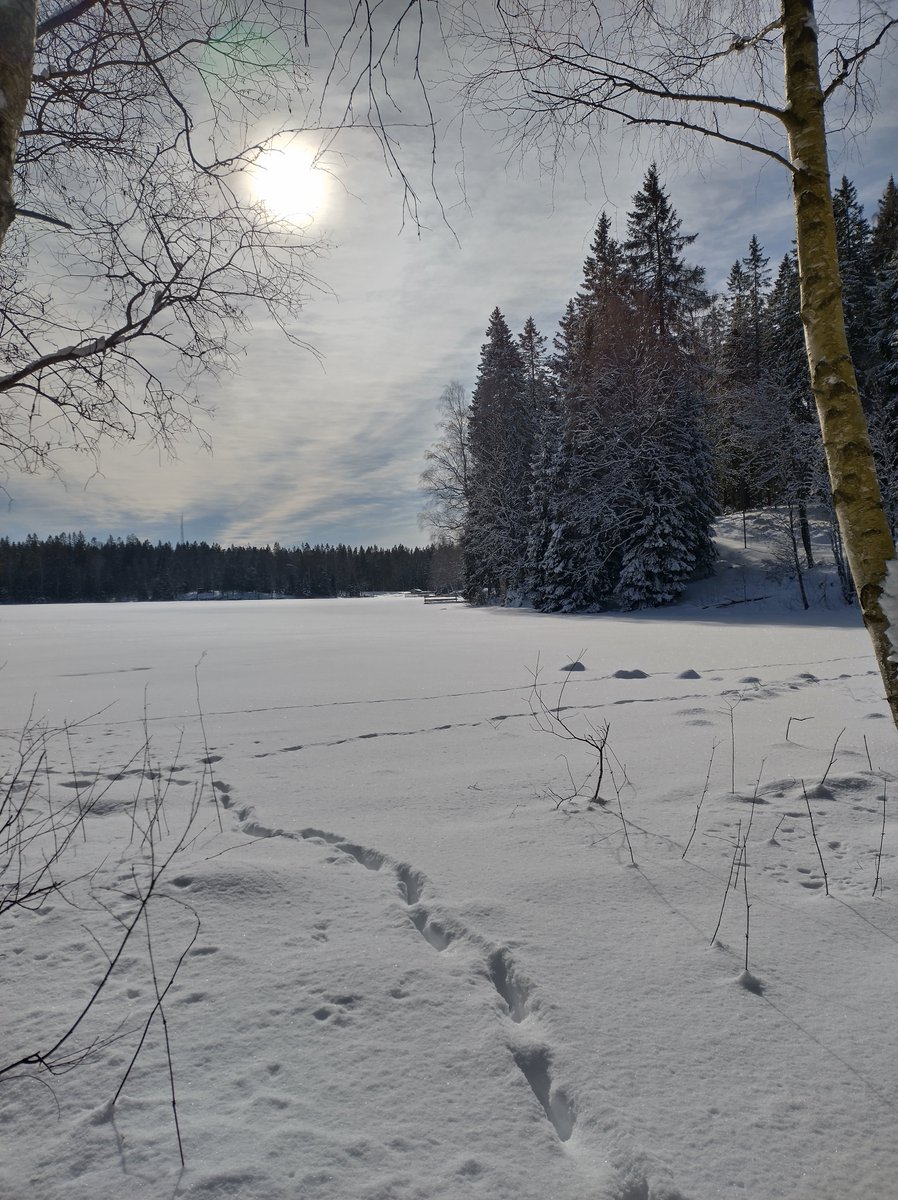 MattiasBrehag's tweet photo. #Billingen idag. Fantastiskt. https://t.co/YVjuKelohE