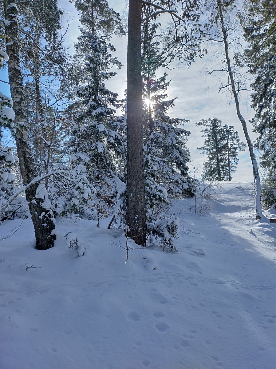 MattiasBrehag's tweet photo. #Billingen idag. Fantastiskt. https://t.co/YVjuKelohE