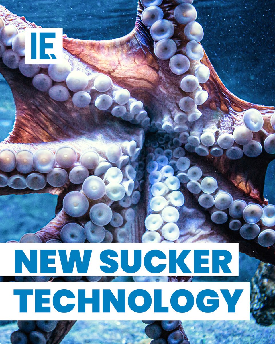 Interesting Engineering On Twitter Thanks To The Suckers Underneath interesting-engineering-on-twitter-thanks-to-the-suckers-underneath