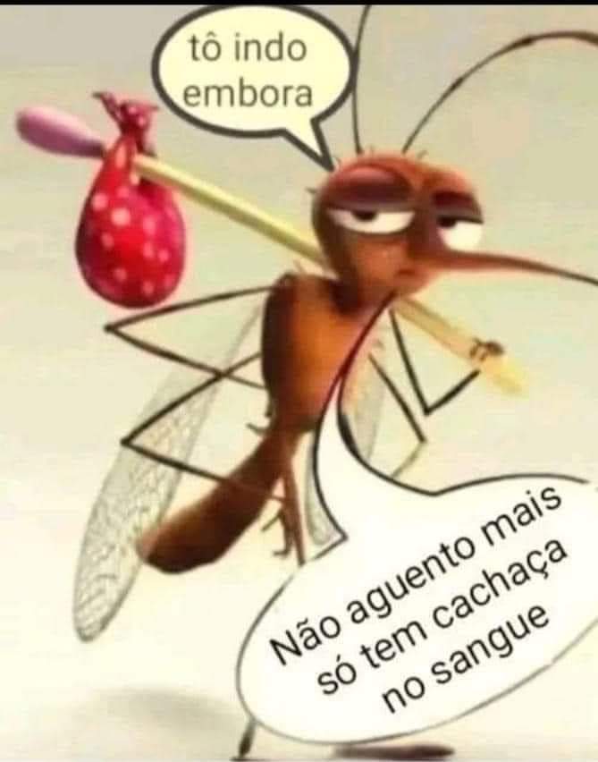 🤣🤣🤣🤣🤣🤣