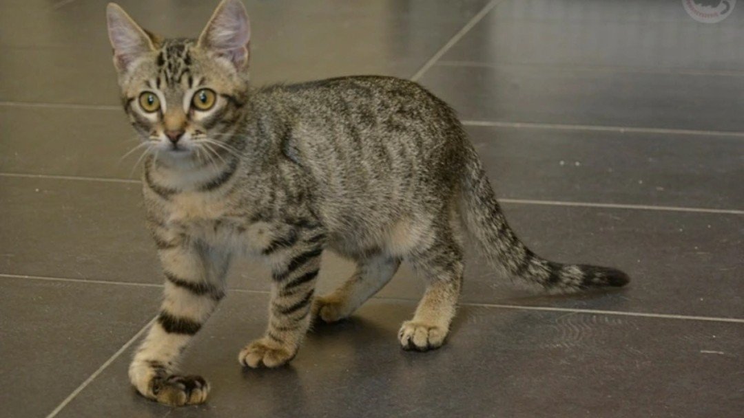 Proszę przeczytajcie do końca i proszę o RT🙏

Zwykle nie odbieram telefonów w niedziele, kiedy jestem z rodziną, ale coś mnie do tego skłoniło.
Głos po drugiej stronie był cichy i delikatny i podejrzewam, że należał do starszej pani.
