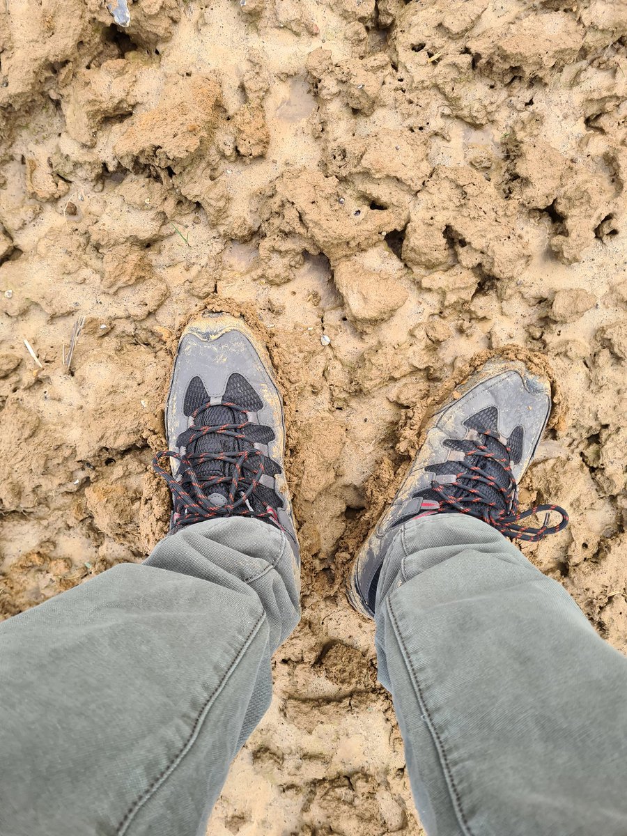 Wayne McDonald tweet media