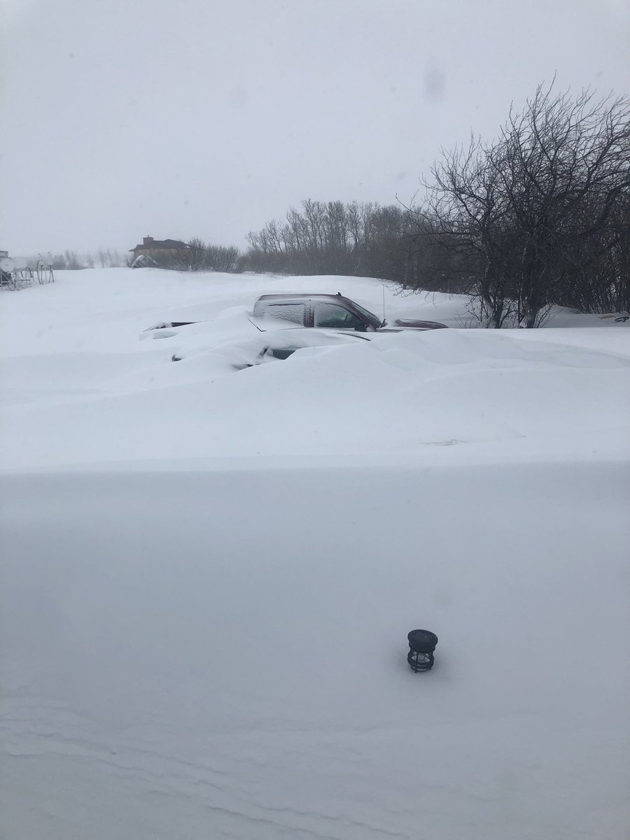 KJRaisbeck's tweet photo. I think we’re snowed in ! #saskatchewanblizzard https://t.co/cO9jtzNMdi
