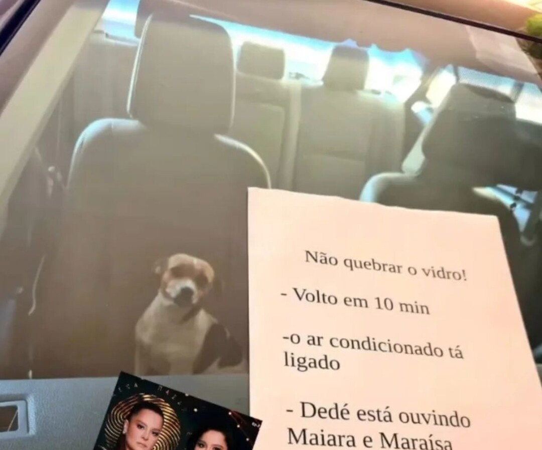 shitpostverdade's tweet image. 