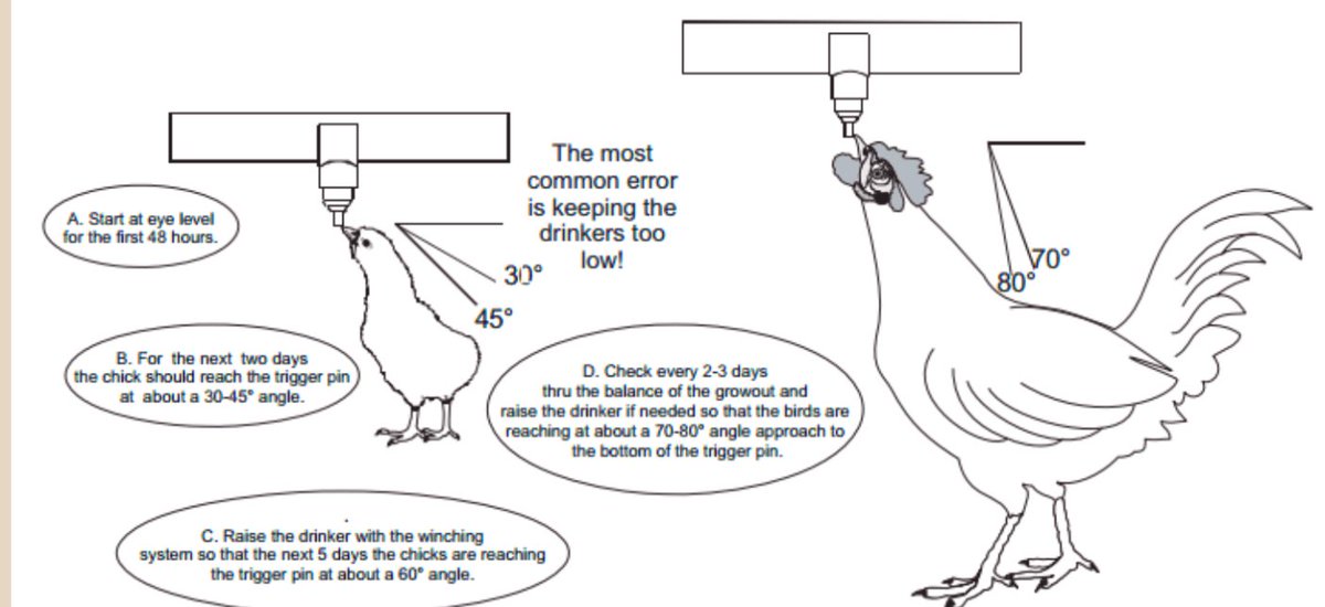 Sangwa Sifa Florence tweet media