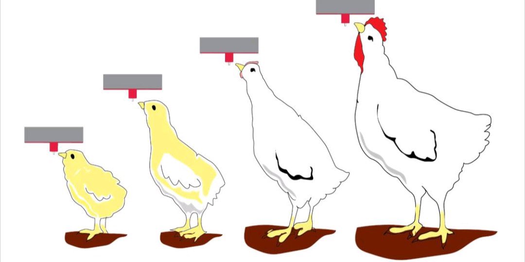 Sangwa Sifa Florence tweet media