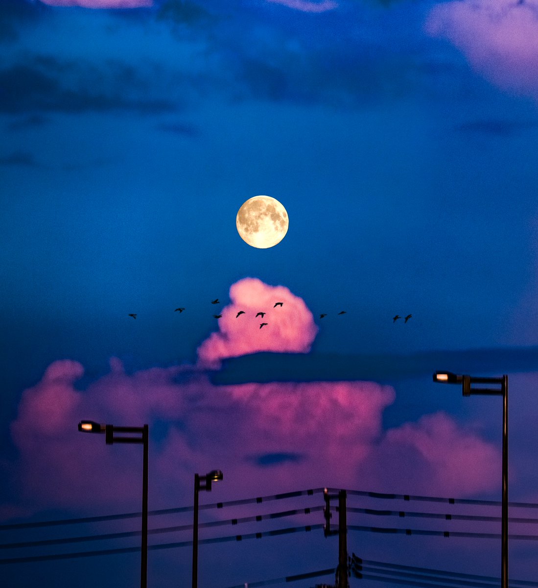 時町 空 tweet media