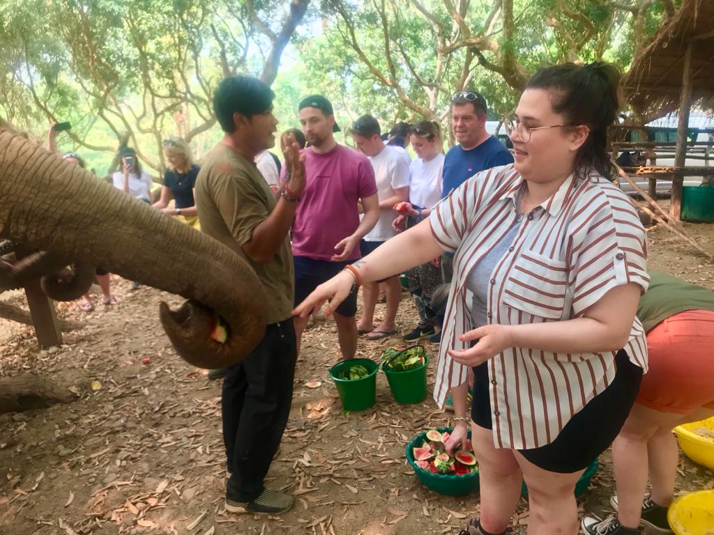 postgradart tweet media