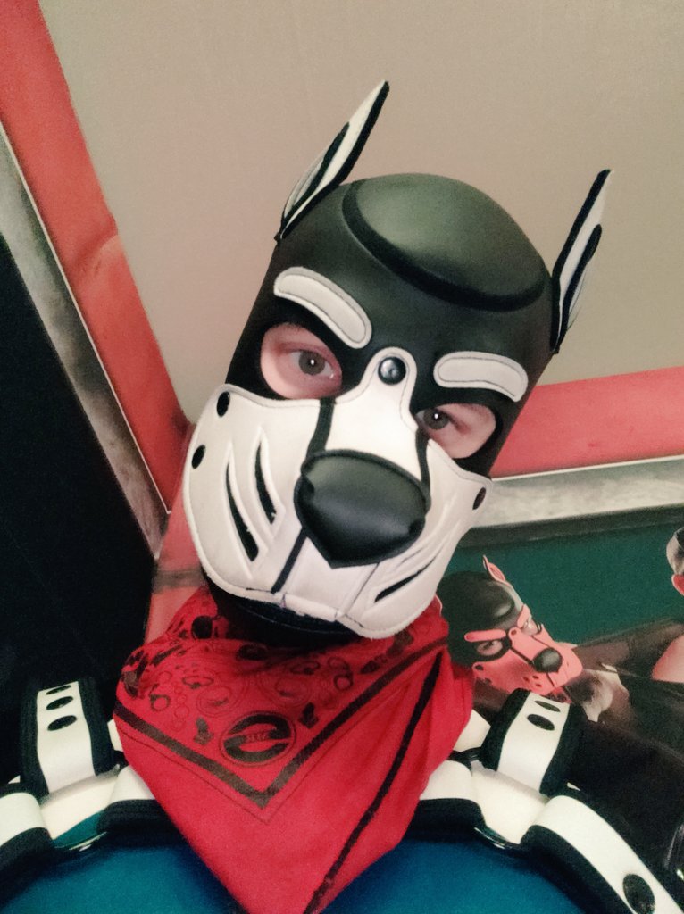 Pup_Dash1's tweet photo. Come and find me at darklands' last party tonight (probably in the backrooms 💦) https://t.co/g7mZH8696a