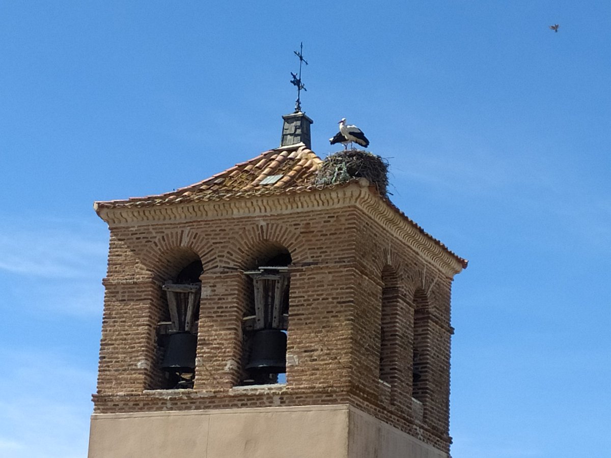 TabaneraL's tweet photo. Tiempo primaveral en Tabanera la Luenga https://t.co/NJRqO0rO9x