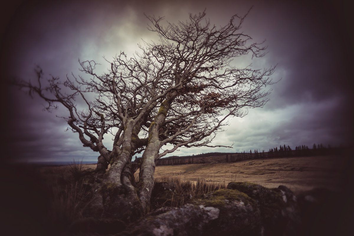 GlavindStrachan's tweet photo. More from my walk the other day with @jannerjim #Dartmoor #Assycombe #StoneRow #SittafordTor #TeignheadFarm #Ruins and the #Gateway to #MangaFarm 😍 #DartmoorPhotography #DartmoorPhotographer https://t.co/XrtOp53fxV