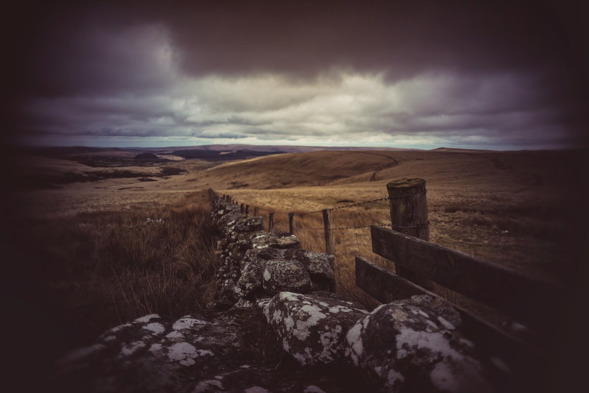 GlavindStrachan's tweet photo. More from my walk the other day with @jannerjim #Dartmoor #Assycombe #StoneRow #SittafordTor #TeignheadFarm #Ruins and the #Gateway to #MangaFarm 😍 #DartmoorPhotography #DartmoorPhotographer https://t.co/XrtOp53fxV