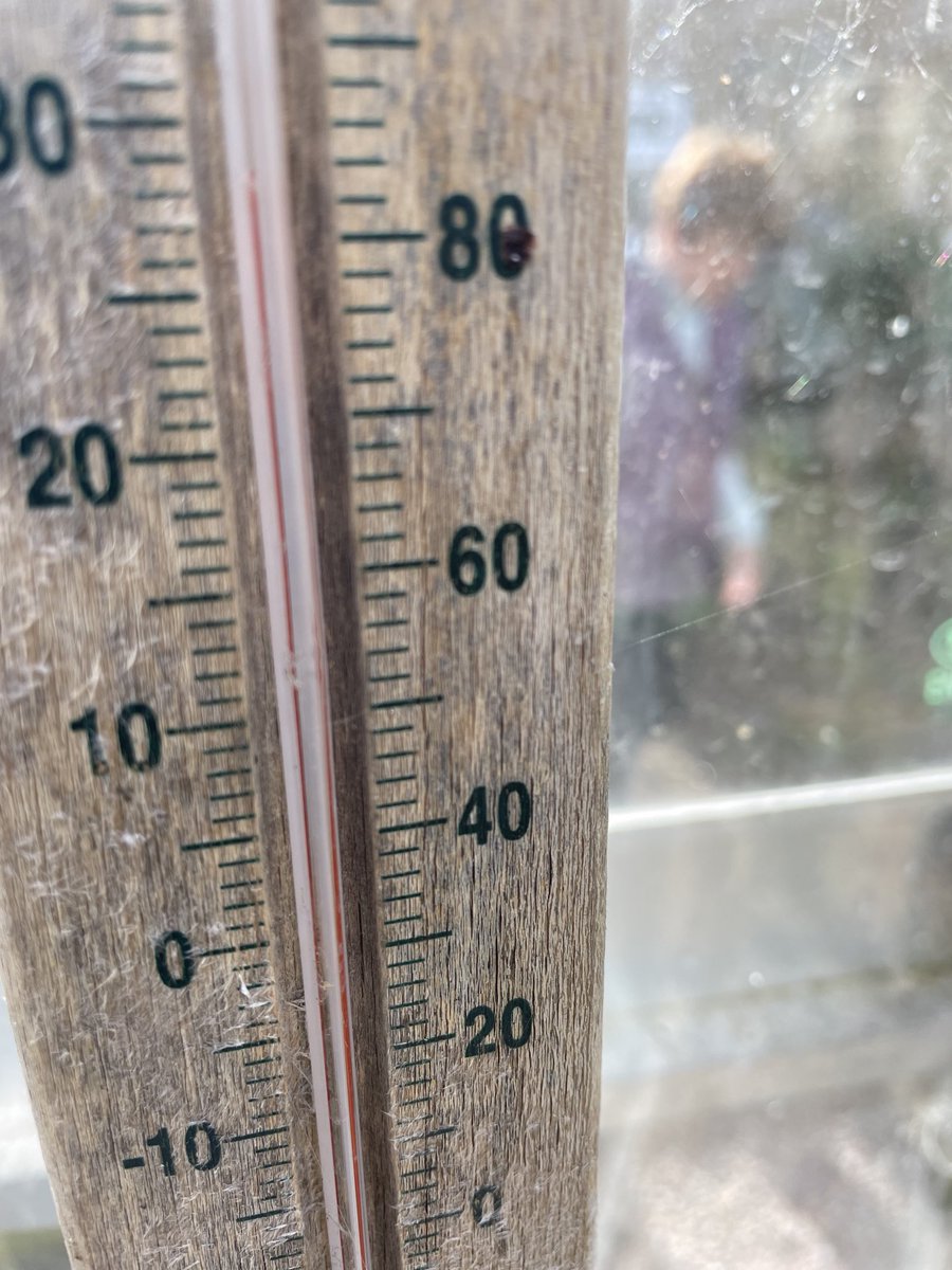 Steve Burdett tweet media