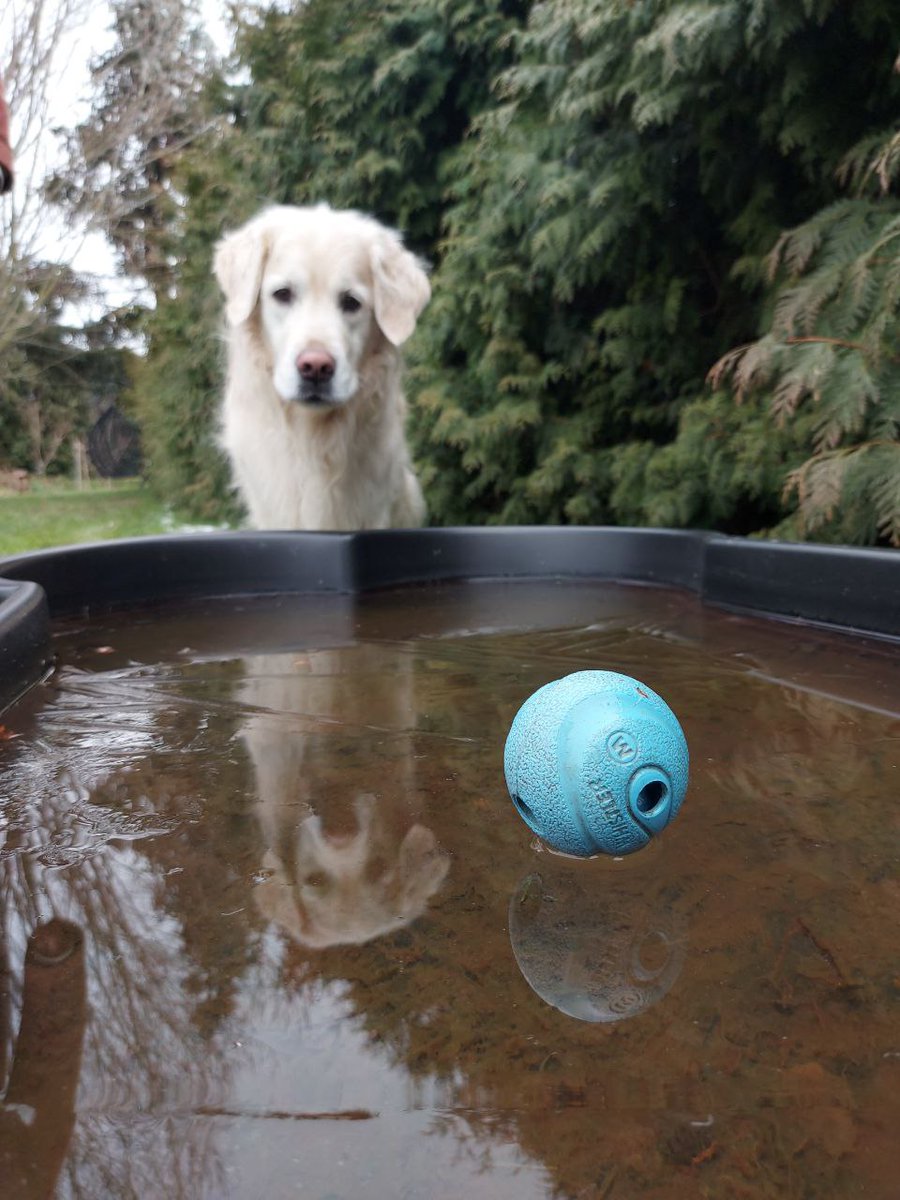 DelvinWittert's tweet photo. #Balli ist #Jesus. Wahnsinn. https://t.co/PCbChKuO3u