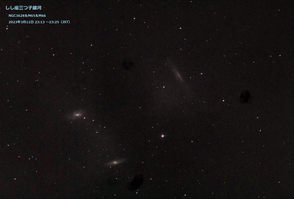 hosi_tori_ga's tweet image. しし座の三つ子銀河
　＃NGC3628
　＃M65
　＃M66
薄雲に霞んだ空の「しし座の三つ子銀河」