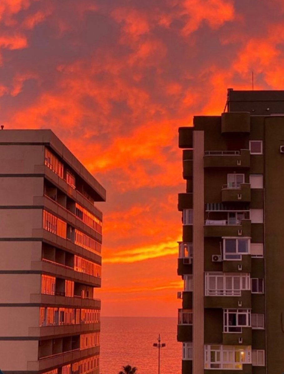 mi amor por los atardeceres es indescriptible