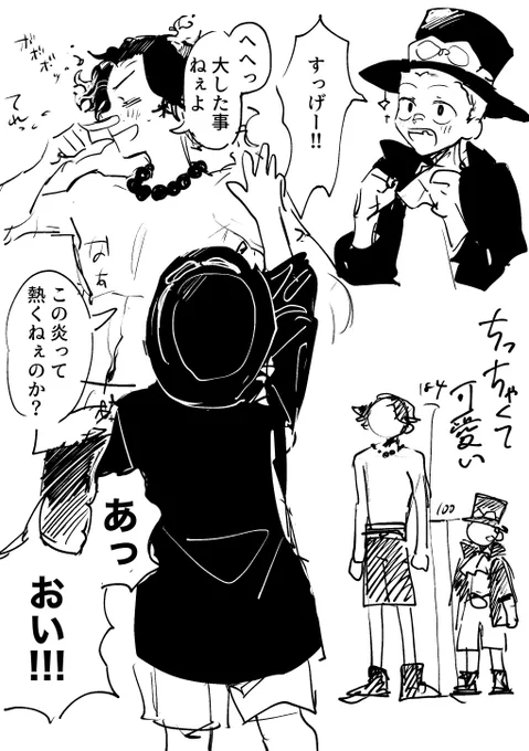 謎時空🔥🎩(ショタ)
エースがメラメラの実で敵を倒した時の反応 