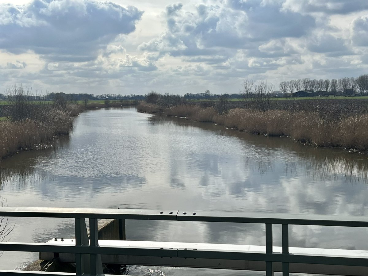hon_joke's tweet photo. Uitwateringskanaal NolZeven bij Biervliet! #vislift foto 2 https://t.co/aJbZwmADuX