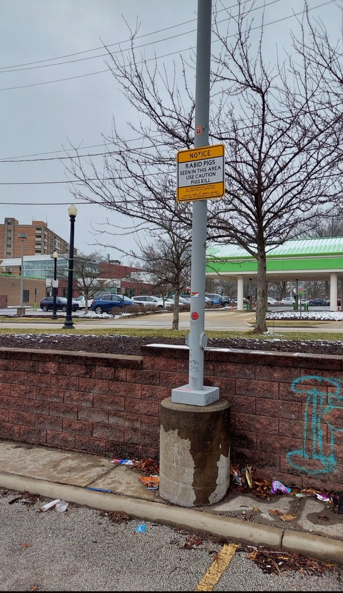 Keep an eye out, Akron. Spotted in HSQ.