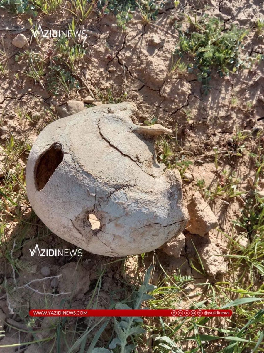 zidan_yezidi's tweet photo. The Zeliliya massgrave has been opened by the foundation of martyrs and religious ceremonies in Sinjar yesterday. This massgrave contains more than 17 civilians Yezidi bodies who were killed by IS on the 3rd of August 2014. 
#YazidiGenocide https://t.co/lF5fXGVSmg