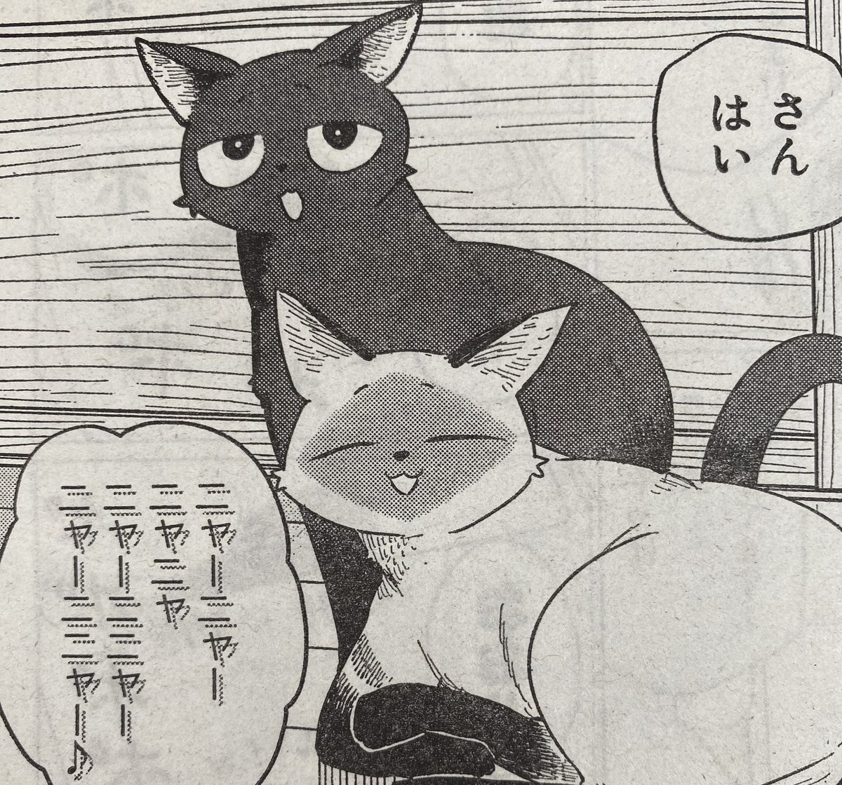 ケニーとチトは
何を歌っているでしょう

#ふらいんぐうぃっち
#別マガ 4月号発売中! 