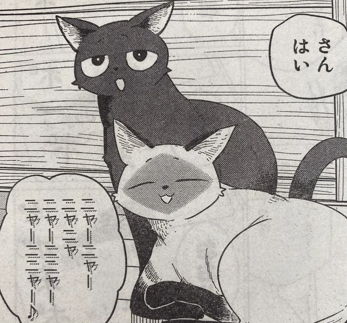 ケニーとチトは
何を歌っているでしょう

#ふらいんぐうぃっち
#別マガ 4月号発売中! 