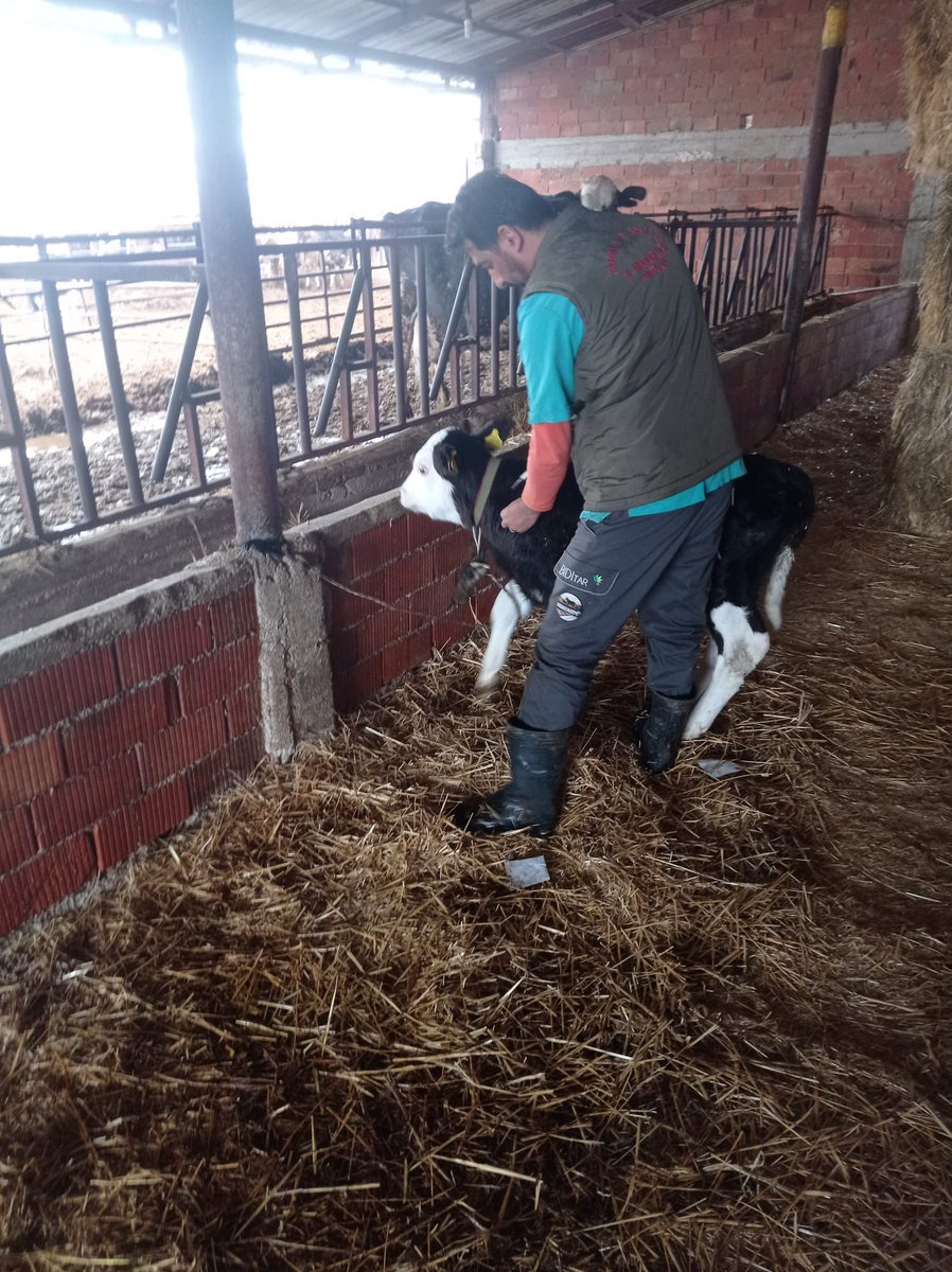 SAT2 serotipli Şap Hastalığına karşı Şap Enst. Müdürlüğümüzce üretilen  şap aşısı uygulamaları Vet.Hekim ve Vet. Sağlık Teknisyenlerimizde mesai mefhumu gözetmeksin hafta sonu da koruyucu aşılama için sahada <a href="/gokhankaraca_/">Gökhan Karaca</a> <a href="/antalyailtarim/">Antalya İl Tarım ve Orman Müdürlüğü</a>