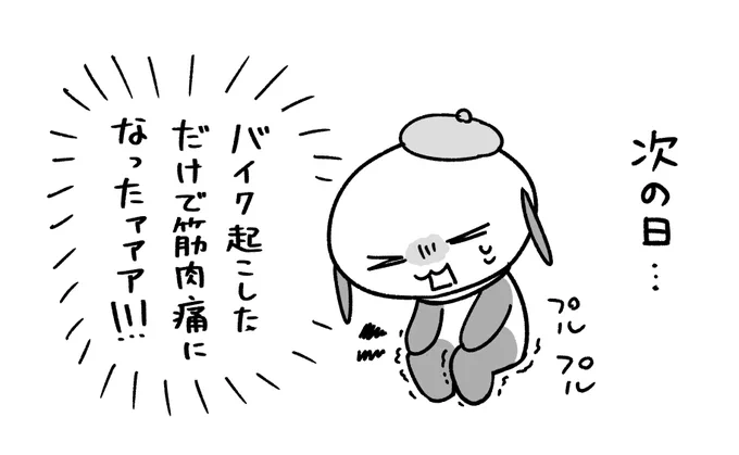 おまけ
この後数日間めちゃくちゃリングフィット頑張った 