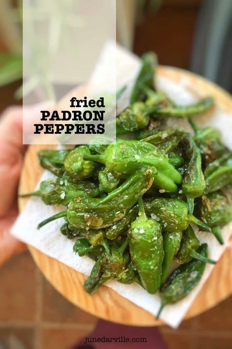 🇪🇸 𝐏𝐚𝐧 𝐅𝐫𝐢𝐞𝐝 𝐏𝐚𝐝𝐫𝐨𝐧 𝐏𝐞𝐩𝐩𝐞𝐫𝐬
🇪🇸 There’s no tapas #dinner without a plateful of charred pimientos de Padron... These pan fried #peppers are so easy to prepare!
🇪🇸 𝐑𝐞𝐜𝐢𝐩𝐞 >> junedarville.com/fried-padron-p…