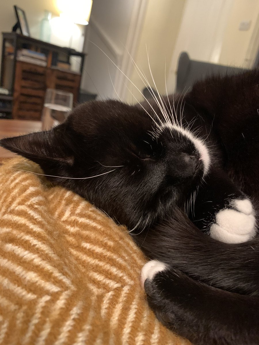 Minne enjoying the weekend