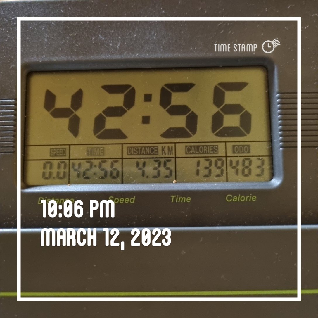 또바기개나리 tweet media