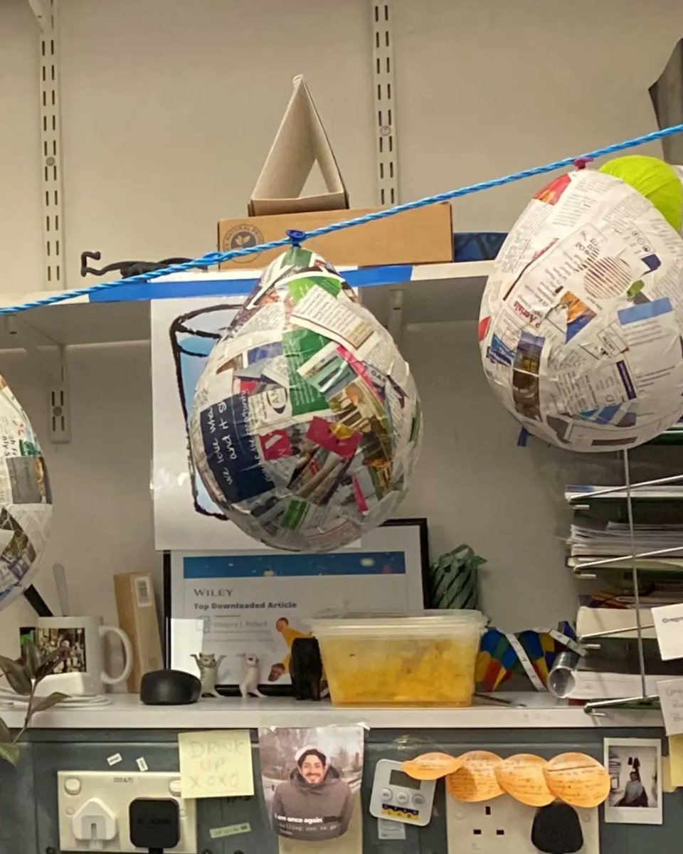 BristolMexSoc's tweet photo. Piñata workshop! thanks to everyone who attended and learned this part of our culture! Making piñatas was never this fun! https://t.co/XKOxrSET5c